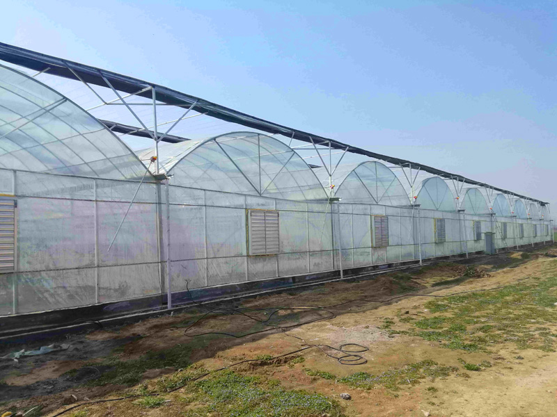 薄膜連棟溫室
